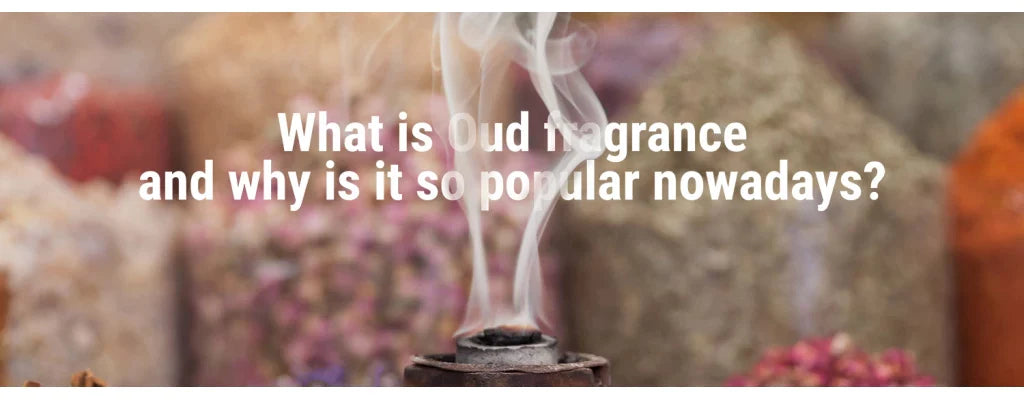 What is Oud fragrance and why is it so popular nowadays?