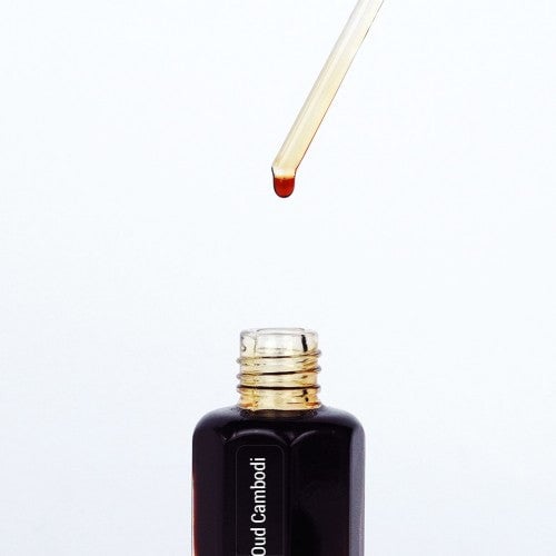 Oud Cambodi Synthetic, dahn al oud